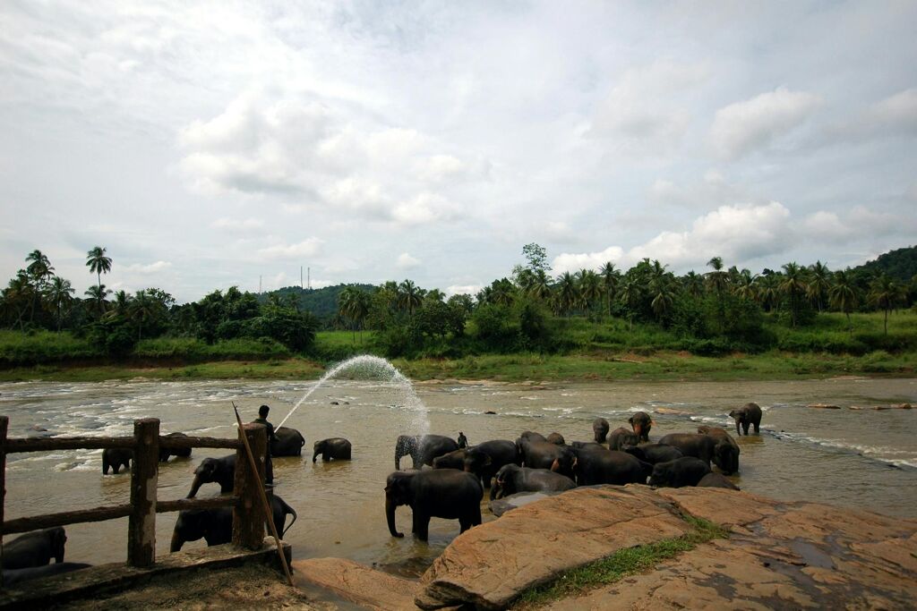 image-32